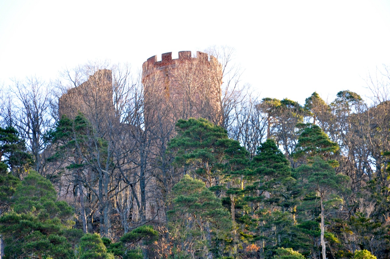 Le Haut-Ribeaupierre, Ribeauvillé